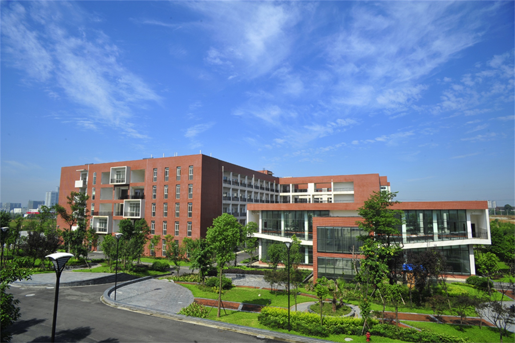 西南财经大学毕业证(西南财经大学毕业证书)