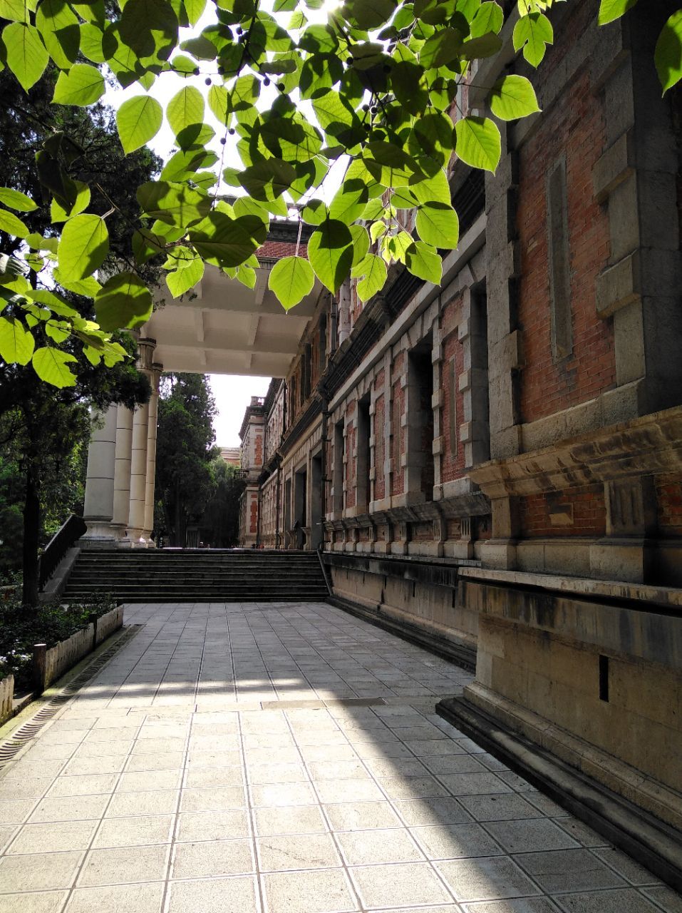云南大学毕业证(云南大学毕业证外壳)