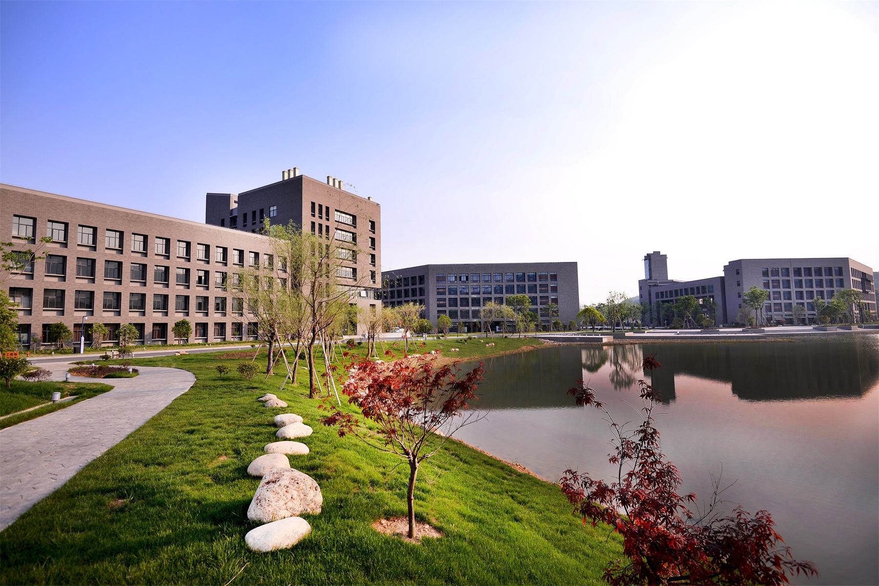 电子科技大学毕业证(电子科技大学毕业证书封面)