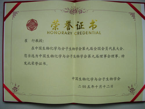 北京师范大学毕业证(北京师范大学毕业证补办)