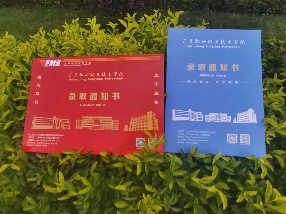 华南师范大学毕业证(华南师范大学毕业证什么时候发)
