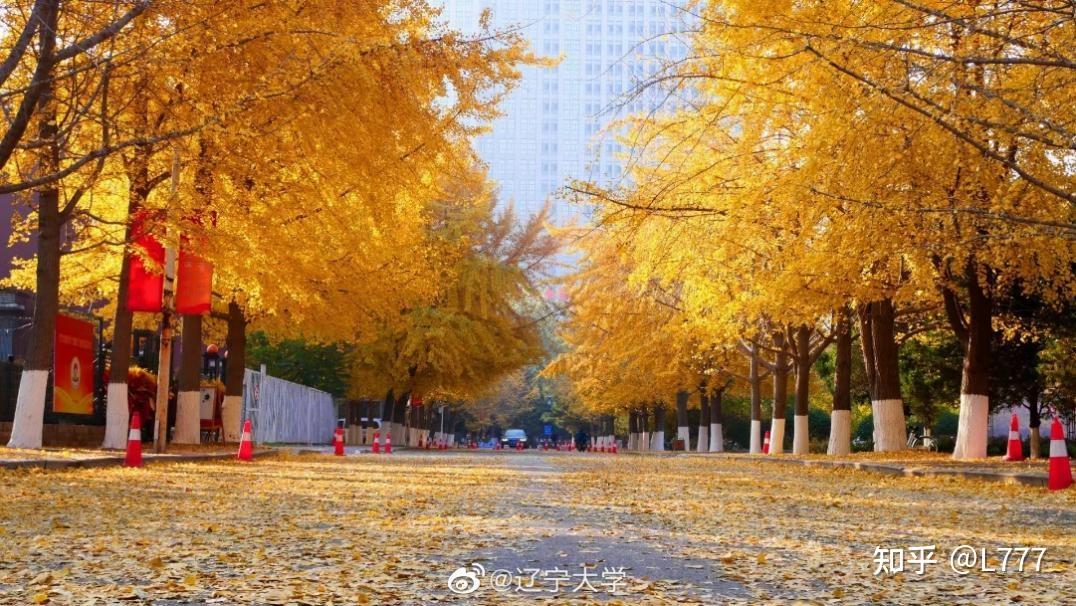 辽宁大学(辽宁大学研究生院)