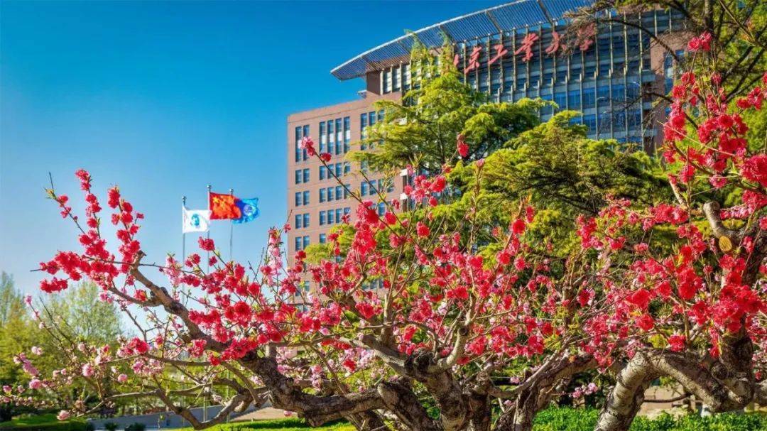 北京工业大学毕业要求