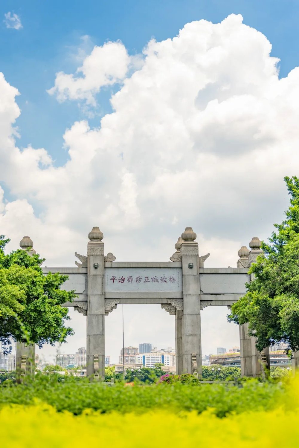 中山大学本科生发表创新性成果