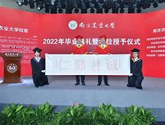 南京农业大学毕业证补办流程