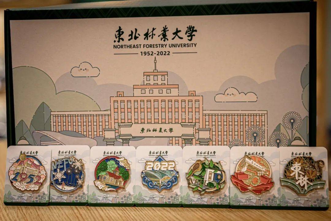 东北林业大学文凭好考吗