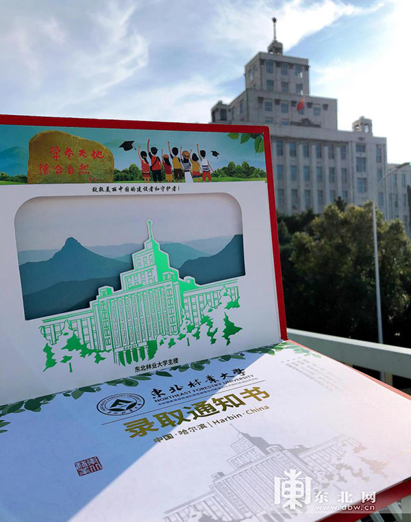 东北林业大学文凭好考吗