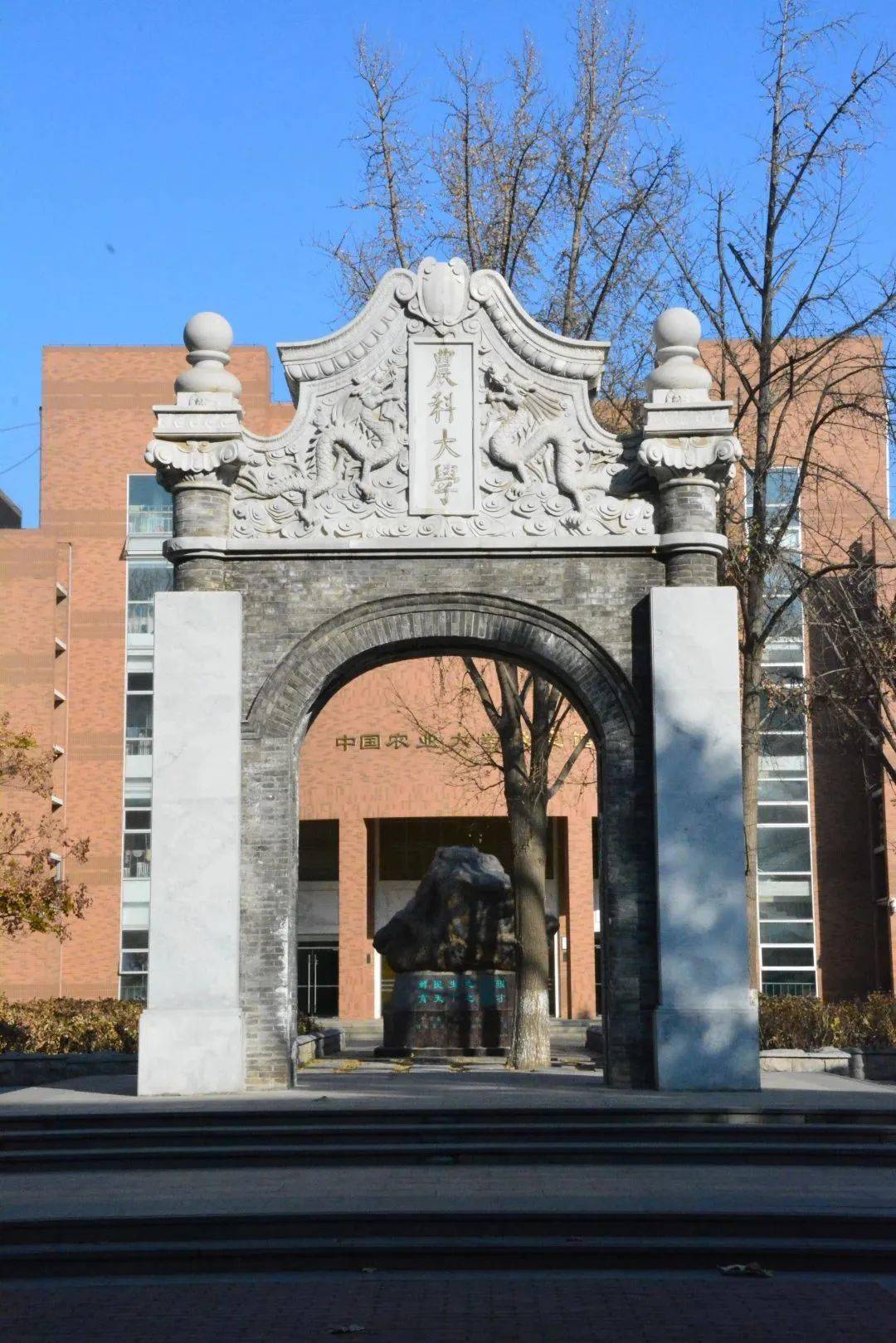 中国农业大学毕业证书图片